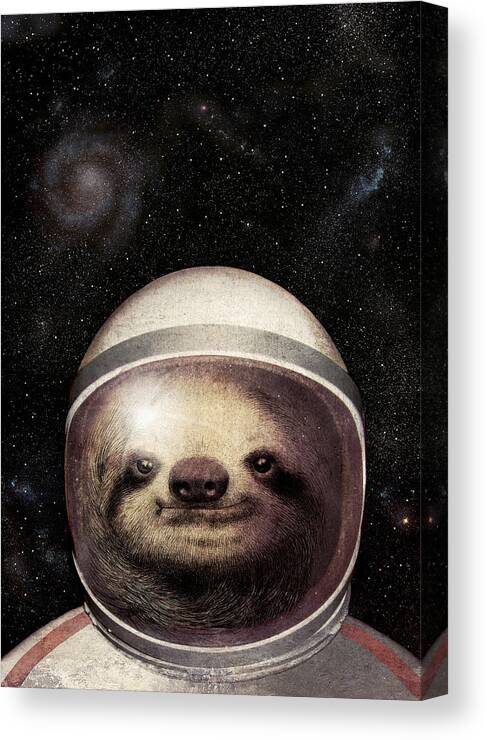 Sloth Canvas Print featuring the drawing Space Sloth by Eric Fan