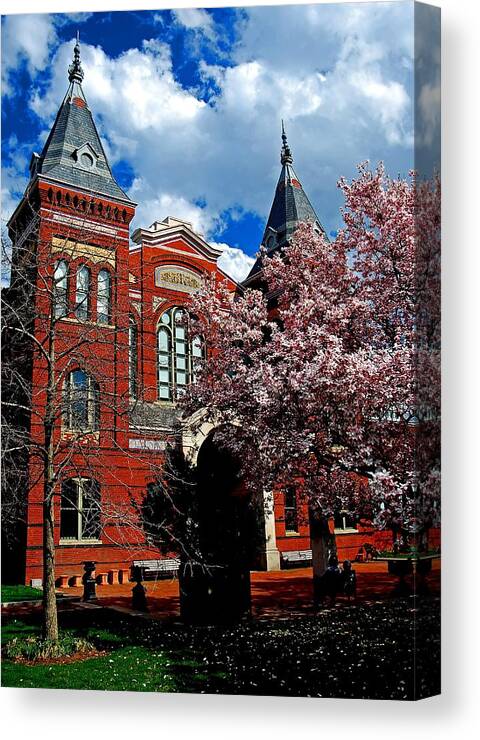 Spring Canvas Print featuring the photograph Spring in Washington DC by Bill Jonscher