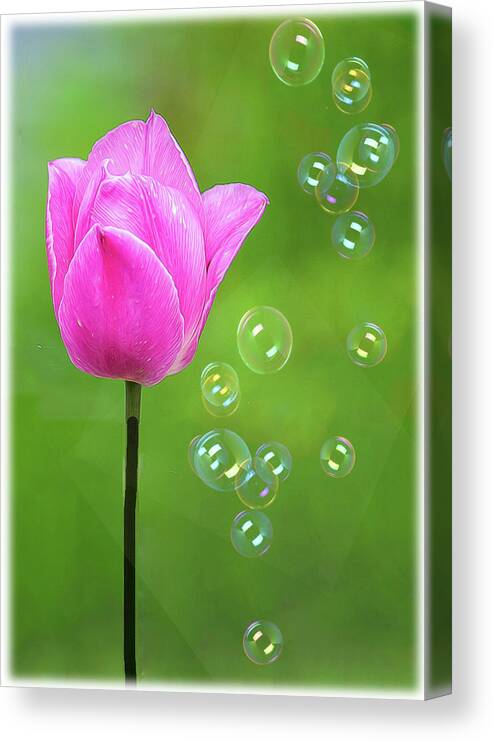 Pink Canvas Print featuring the photograph Spring Is Here by Cathy Kovarik