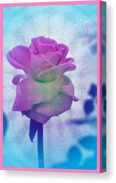 Rose Canvas Print featuring the digital art Sprinkled with Blue by Sonali Gangane