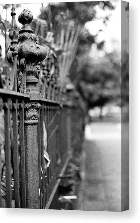 New Orleans Canvas Print featuring the photograph St. Charles Ave Wrought Iron Fence by KG Thienemann