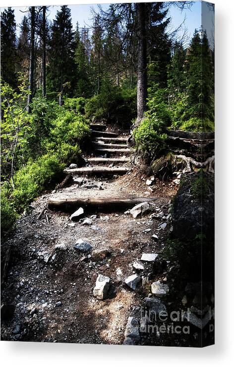 Step Canvas Print featuring the photograph Stair Stone Walkway In The Forest by Jozef Jankola