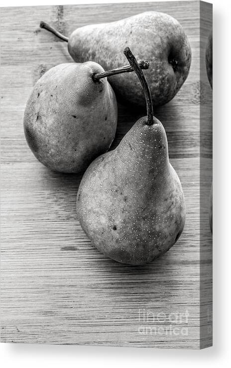 Food Canvas Print featuring the photograph Still Life of Three Pears by Edward Fielding