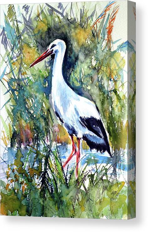 Stork Canvas Print featuring the painting Stork by Kovacs Anna Brigitta