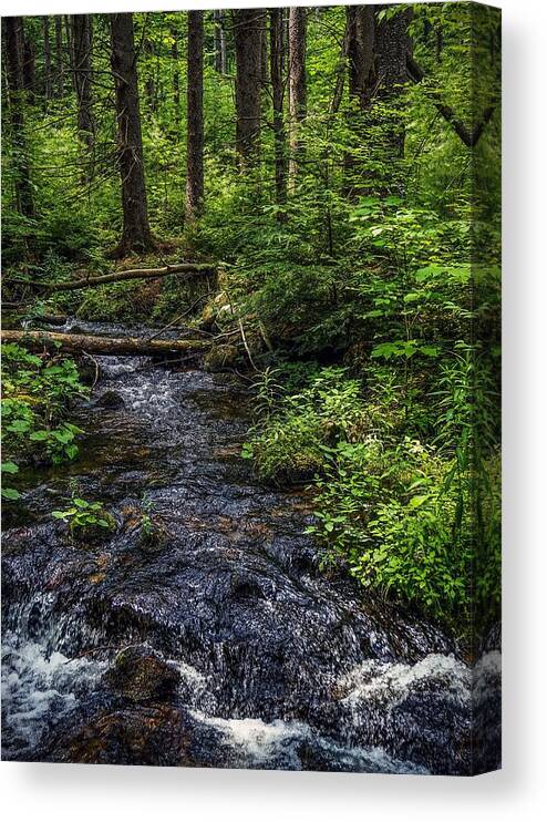 Canvas Print featuring the photograph Streaming by Kendall McKernon