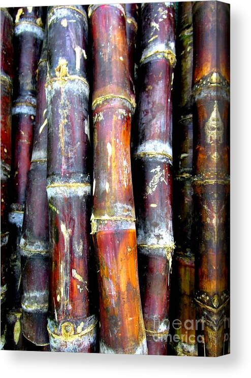 Produce Canvas Print featuring the photograph Sugar Cane by Randall Weidner