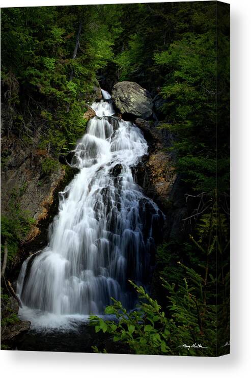 Waterfall Canvas Print featuring the photograph Summer Starts by Harry Moulton