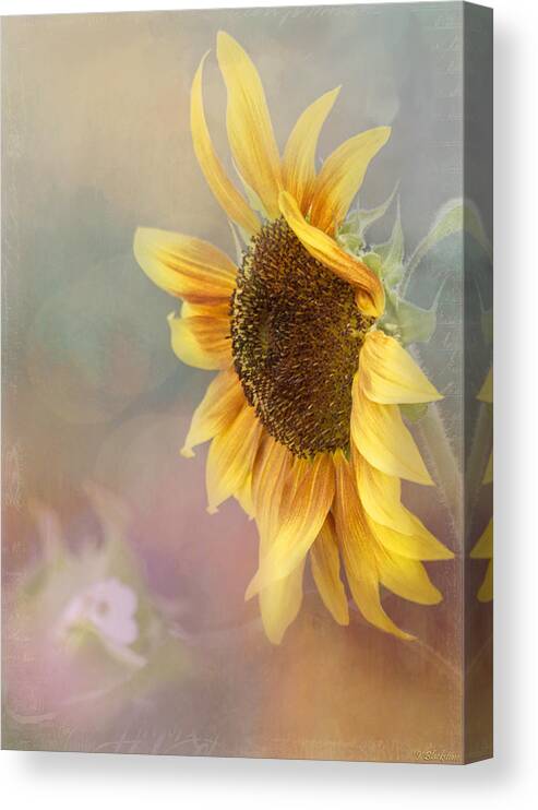 Be The Sunflower Canvas Print featuring the photograph Sunflower Art - Be The Sunflower by Jordan Blackstone