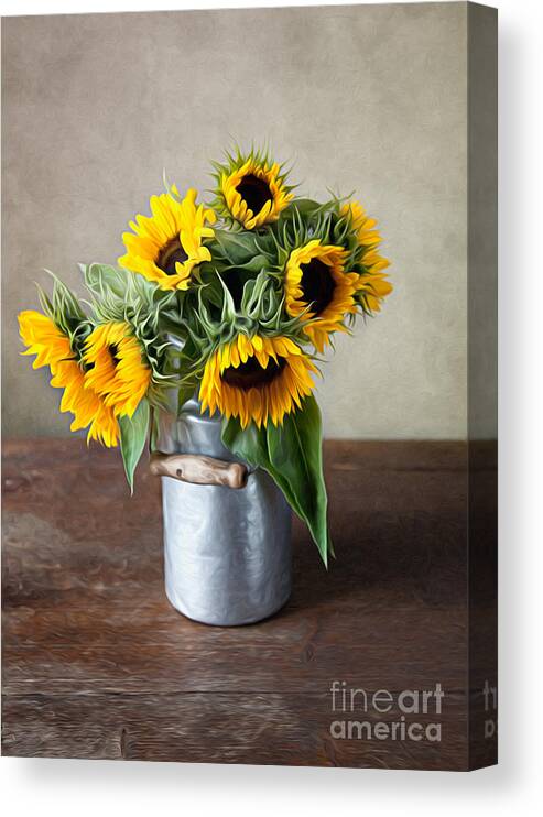Sunflower Canvas Print featuring the photograph Sunflowers by Nailia Schwarz