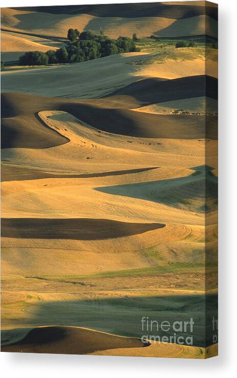 Palouse Canvas Print featuring the photograph Sunset on the Palouse by Sandra Bronstein