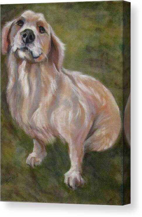 Dog Canvas Print featuring the pastel Sweet Golden by Barbara O'Toole