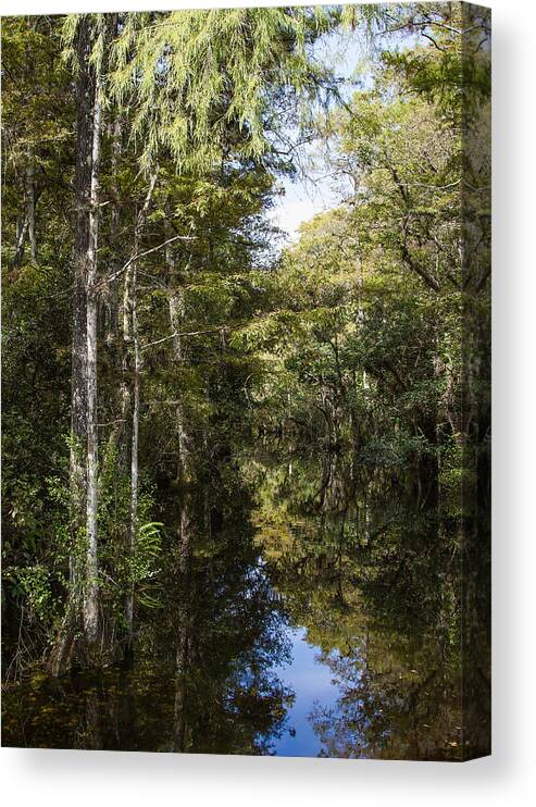 Everglades Canvas Print featuring the photograph Sweetwater Strand - 10 by Rudy Umans