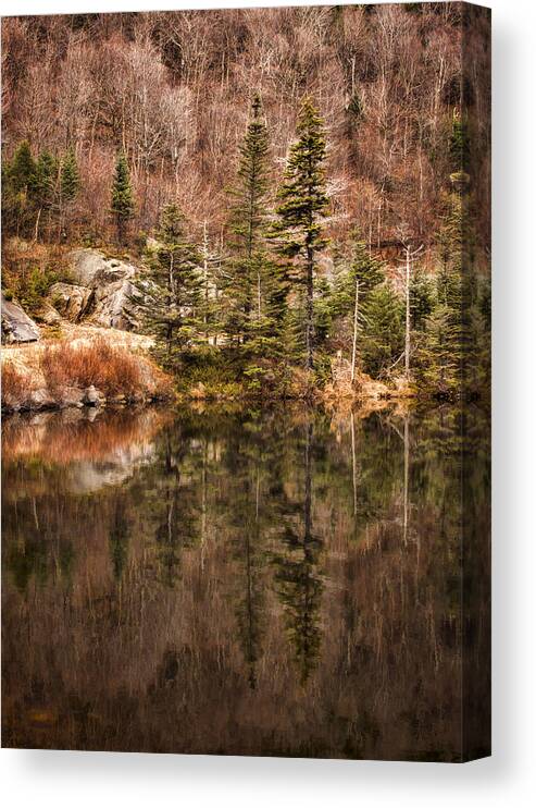 Symmetrical Canvas Print featuring the photograph Symmetry by Heather Applegate