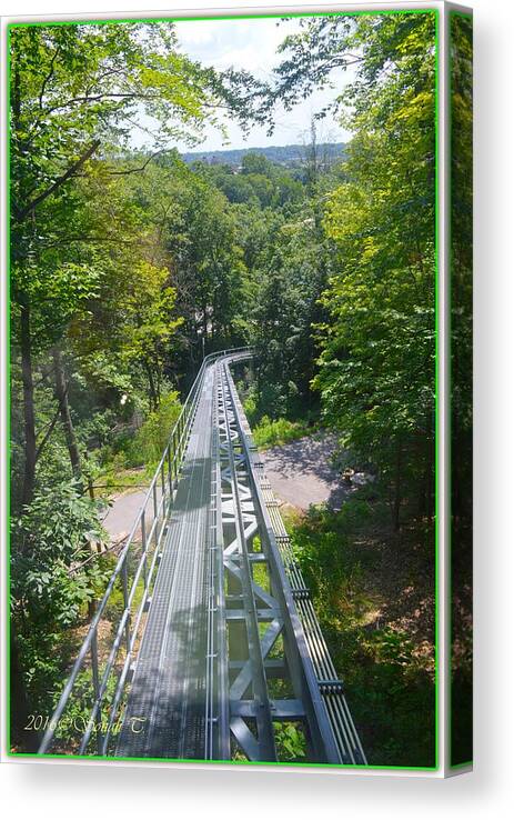 Art For Apartment Canvas Print featuring the photograph The Funicular at John Ball Zoo by Sonali Gangane