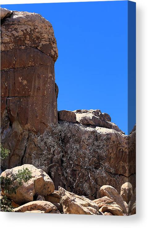 Trunk Made Of Stone Canvas Print featuring the photograph Trunk Made Of Stone by Viktor Savchenko