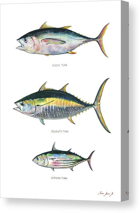 Tuna Fishes Canvas Print featuring the painting Tuna fishes by Juan Bosco