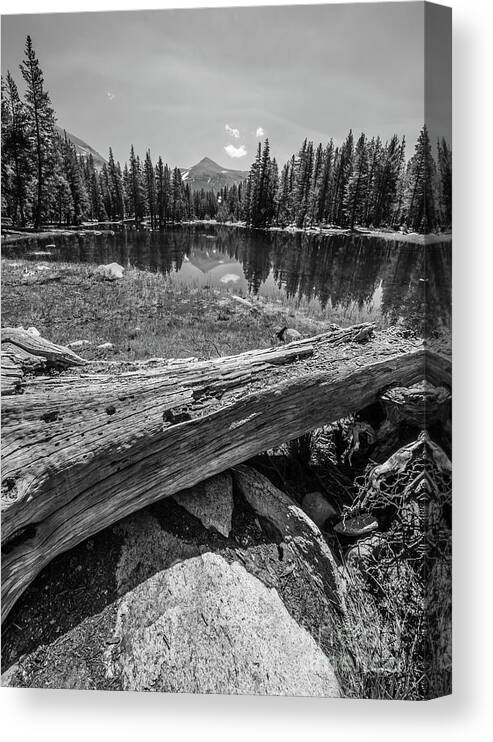 Tuolumne Meadows Canvas Print featuring the photograph Tuolumne Meadows in Monochrome by Michael Tidwell