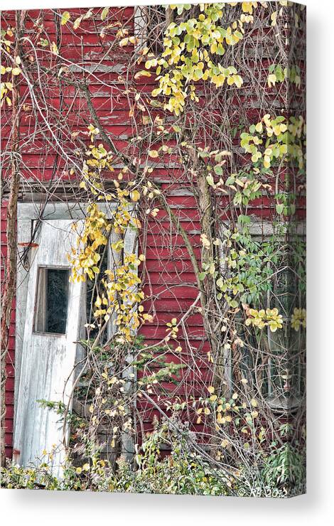 Architecture Canvas Print featuring the photograph Vacant Doorway by Richard Bean