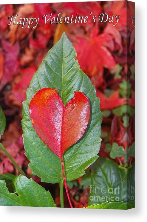 Heart Canvas Print featuring the photograph Valentine's Day Nature Card by Debra Thompson