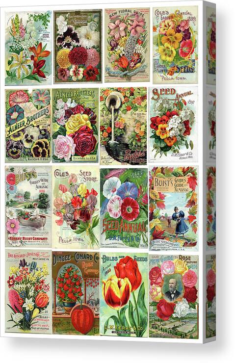 Flower Seeds Canvas Print featuring the painting Vintage Flower Seed Packets 1 by Peggy Collins