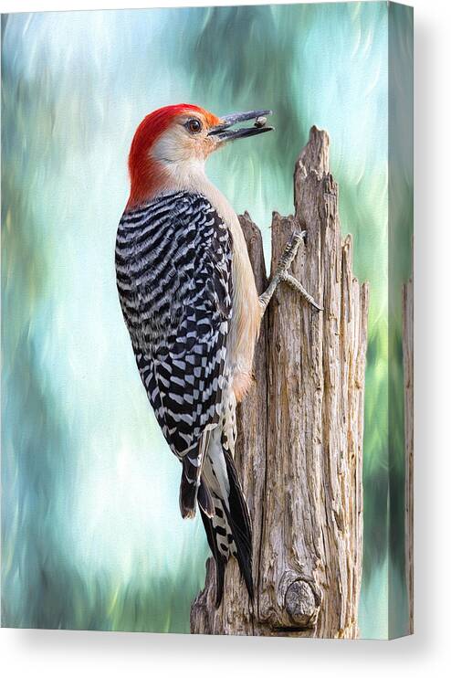 Red-bellied Woodpecker Canvas Print featuring the photograph Viridian Woody by Bill and Linda Tiepelman