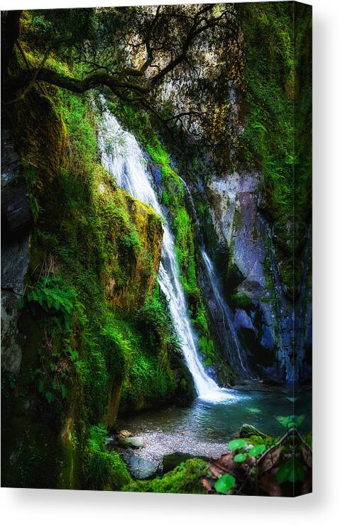 Waterfall Canvas Print featuring the photograph Waterfall in Spring by Marion McCristall