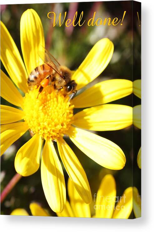 Card Canvas Print featuring the photograph Well Done Card by Carol Groenen