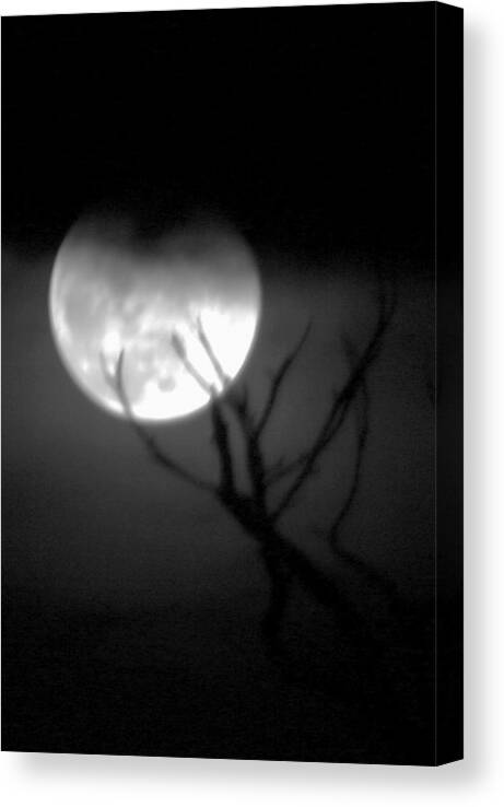 Photo For Sale Canvas Print featuring the photograph Werewolf Moon by Robert Wilder Jr