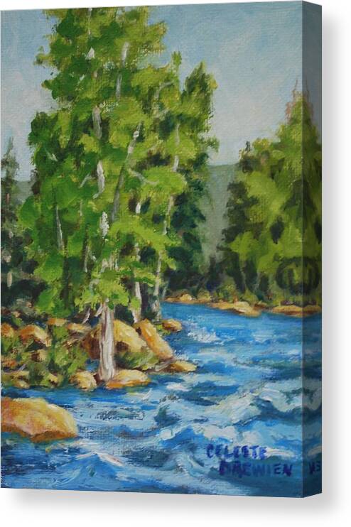 Peidra River Canvas Print featuring the painting West Fork Spring by Celeste Drewien