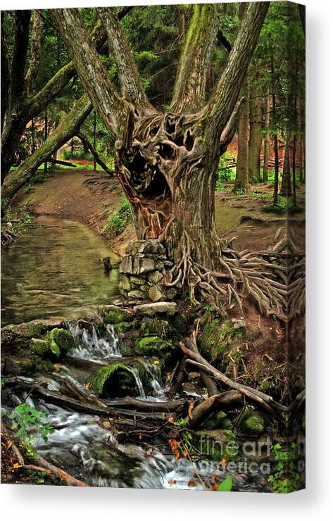 Ent Canvas Print featuring the photograph Where The Ents Are by Ang El