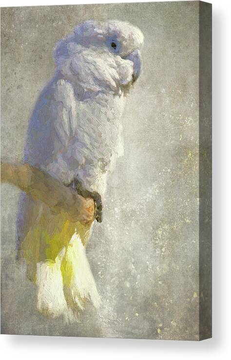 Cockatoo Canvas Print featuring the photograph White Beauty by HH Photography of Florida