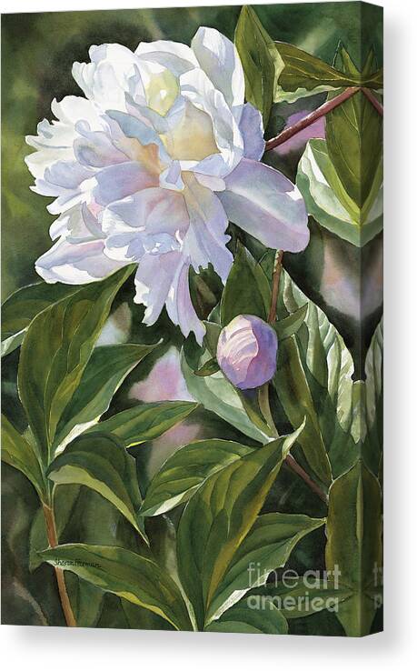 Peony Canvas Print featuring the painting White Peony with Bud by Sharon Freeman
