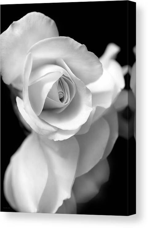 Rose Canvas Print featuring the photograph White Rose Petals Black and White by Jennie Marie Schell