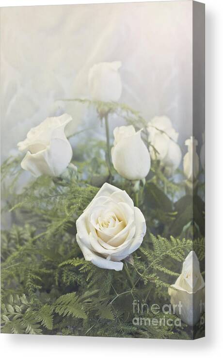  Canvas Print featuring the photograph White roses by Cindy Garber Iverson