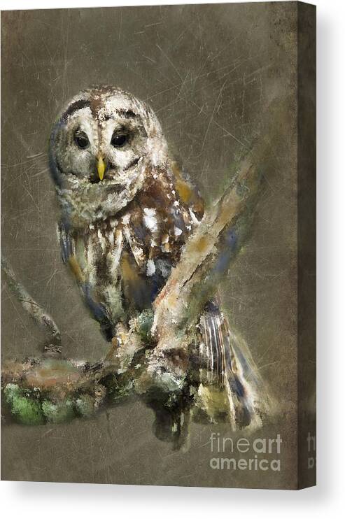 Barred Owl Canvas Print featuring the photograph Whoooo by Betty LaRue