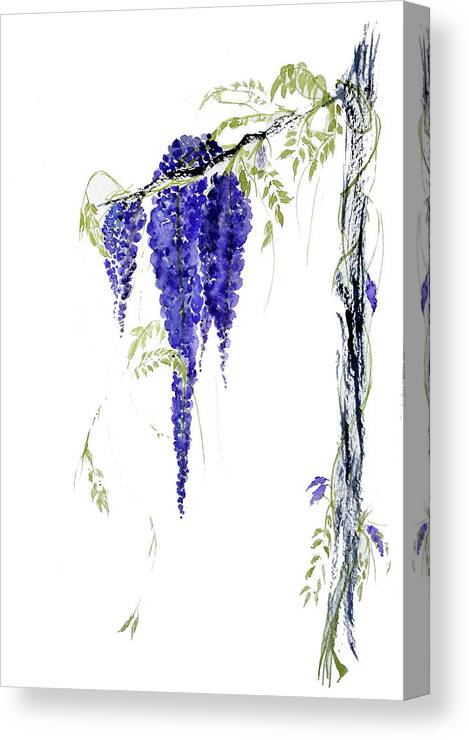 Wisteria Canvas Print featuring the painting Wild Wisteria by Sibby S