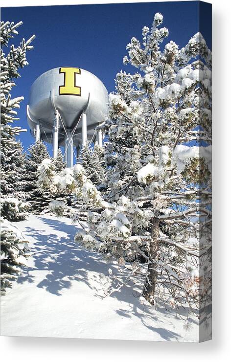 Outdoors Canvas Print featuring the photograph Winter I Tower by Doug Davidson