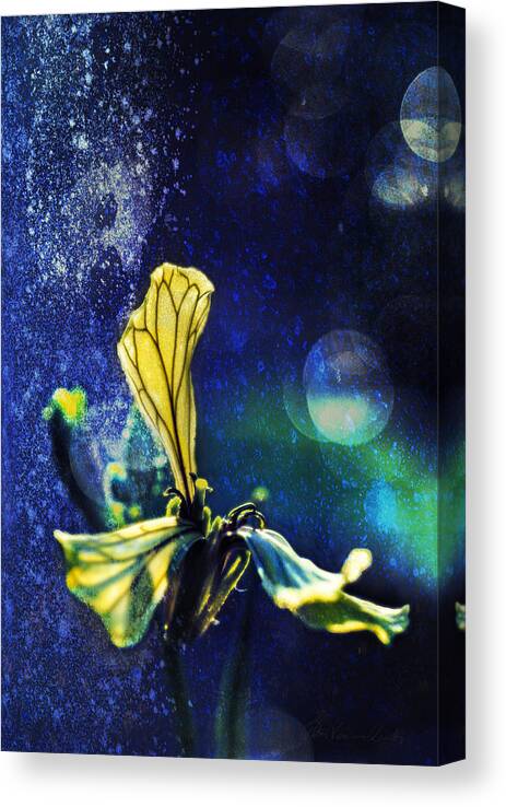 Botanical Canvas Print featuring the photograph Yellow Leaflet on Blue by Peter V Quenter