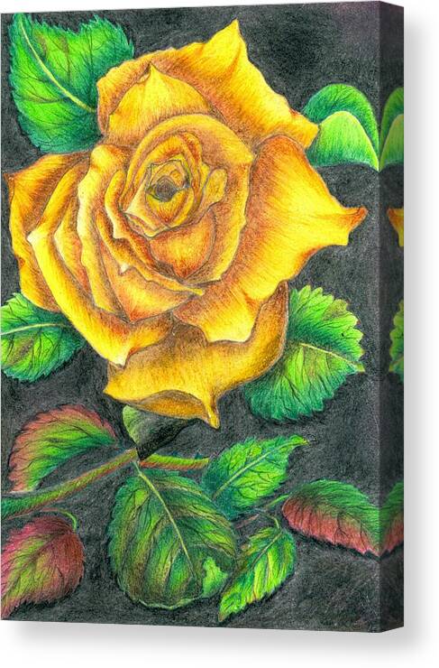 Flower Canvas Print featuring the drawing Yellow rose by Tara Krishna