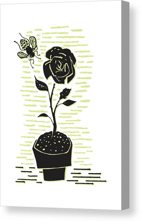 Animal Canvas Print featuring the drawing Blooming Rose in Pot with Bee #1 by CSA Images