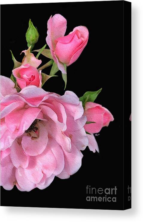 Rose Canvas Print featuring the digital art Pink Garden Roses 2 by Diana Rajala