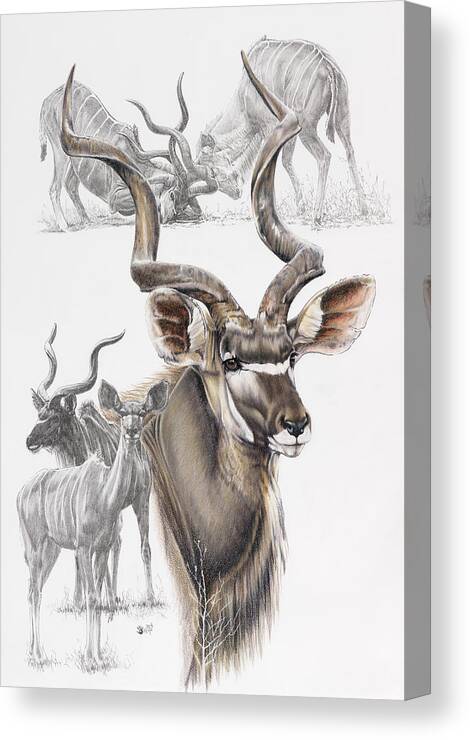 Kudu Canvas Print featuring the painting Kudu #1 by Barbara Keith