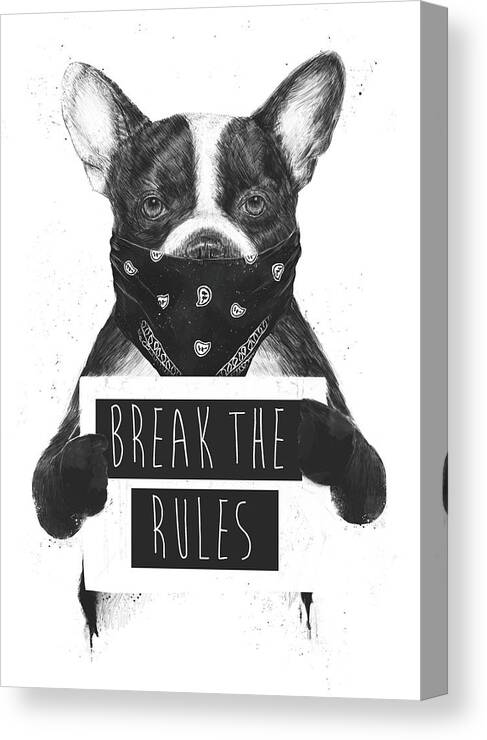 Dog Canvas Print featuring the mixed media Rebel dog II by Balazs Solti