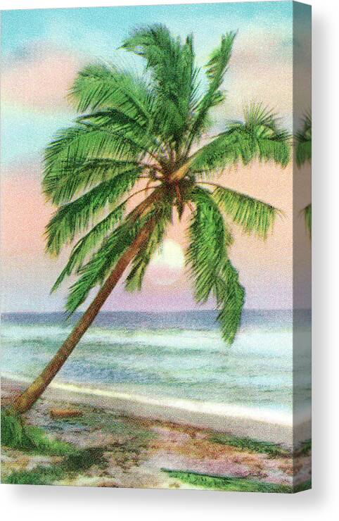 Beach Canvas Print featuring the drawing Tropical Sunset by CSA Images