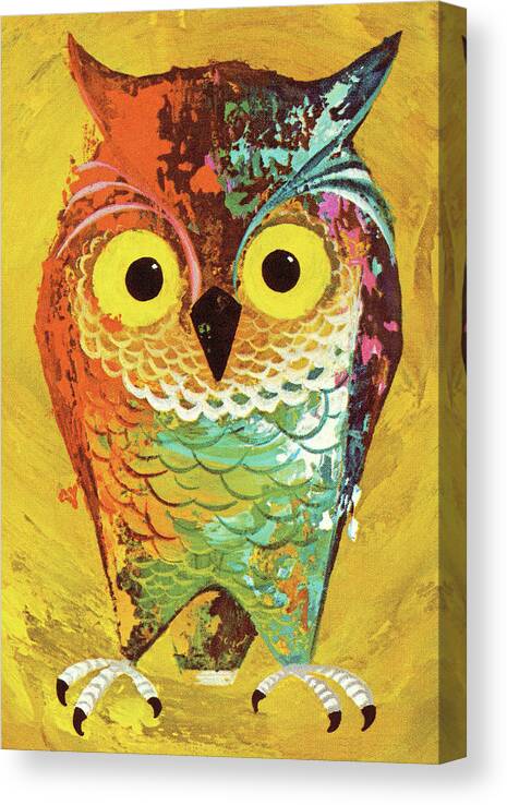 Animal Canvas Print featuring the drawing Wise Owl #2 by CSA Images