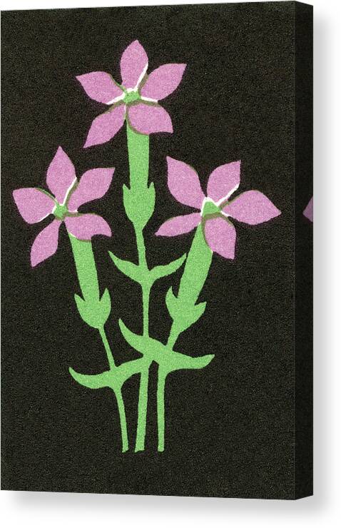 Black Background Canvas Print featuring the drawing Flowers #6 by CSA Images