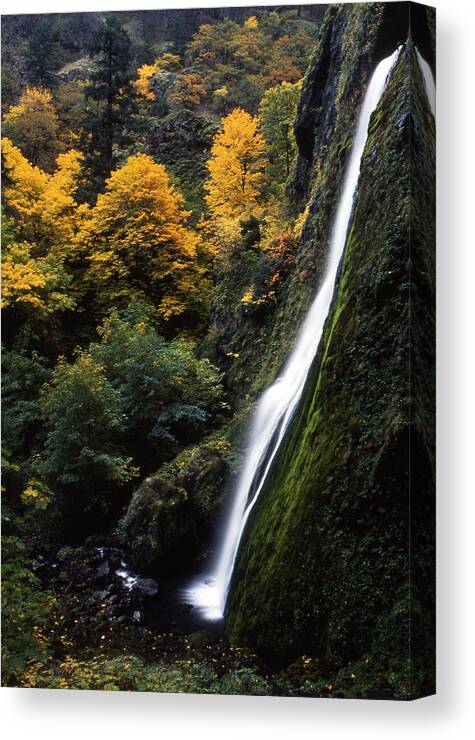 Outdoors Canvas Print featuring the photograph Autumn At Starvation Creek Falls by Danielle D. Hughson