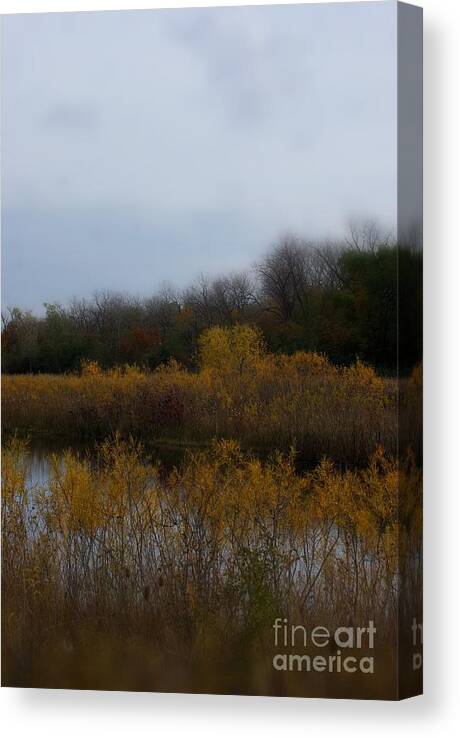 Nature Canvas Print featuring the photograph Autumn Colors on the Wetlands by Frank J Casella