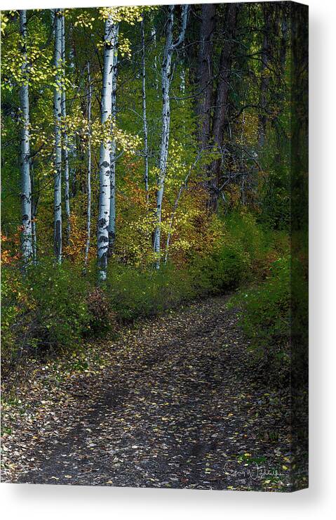 Best Of The Northwest Canvas Print featuring the photograph Autumn Path by Greg Waddell