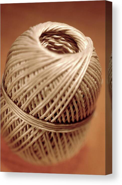 Single Object Canvas Print featuring the photograph Brown Cord Against Brown Background by Westend61